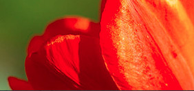 手机号验证码轰炸免费